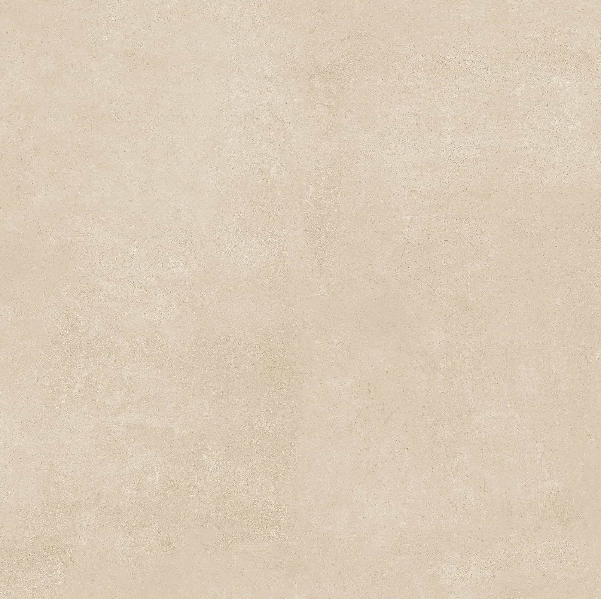 Ark Ivory Matte 24x24x2cm Rectified Porcelain Paver close-up. The paver features a soft ivory hue with a smooth matte finish, showcasing subtle texture and uniform surface ideal for modern hardscape projects. Perfect for patios and pool decks.
