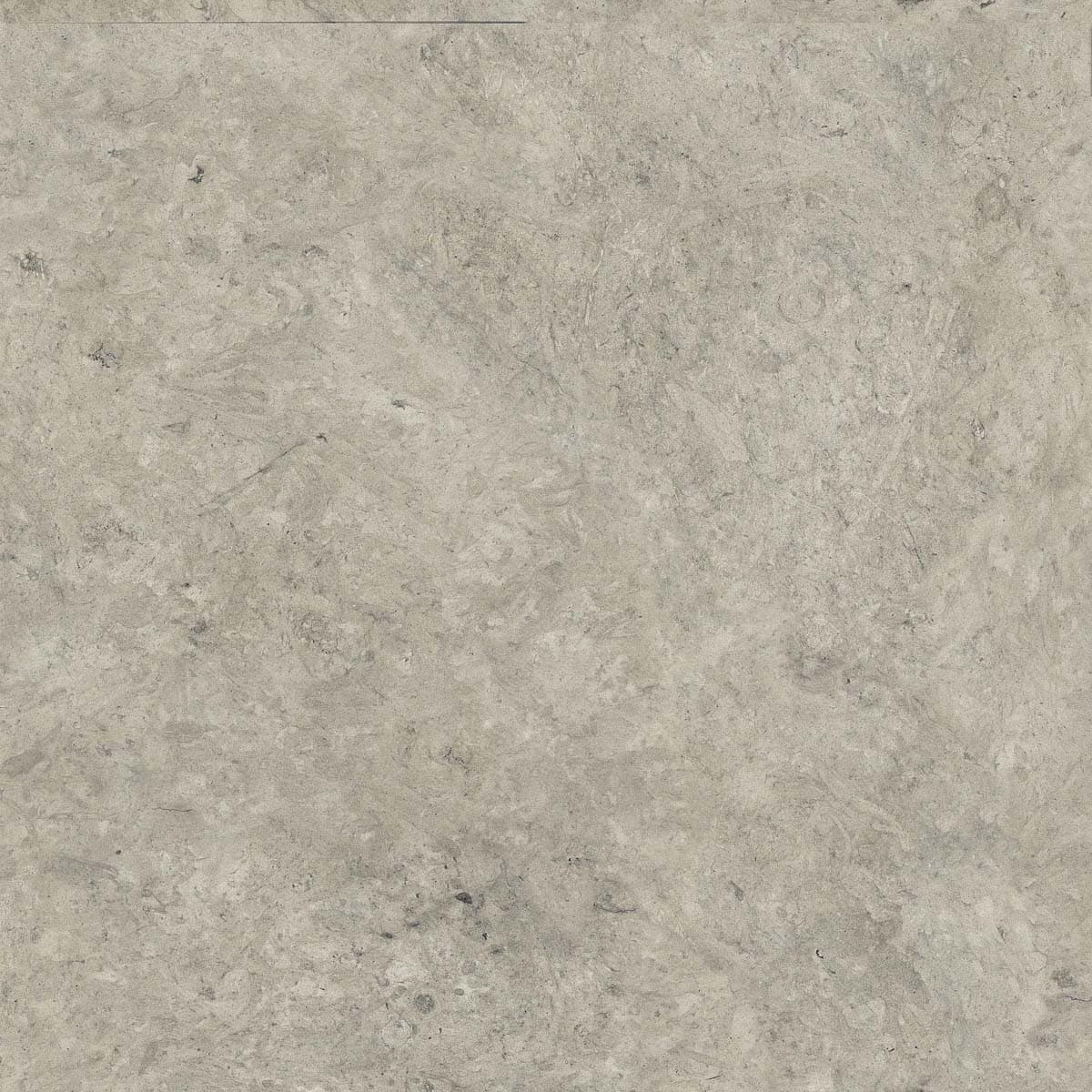Close-up of the Egypt Stone Matte 24x24x2cm Rectified Porcelain Paver showcasing a subtle, natural stone texture with earthy gray tones and delicate veining. The matte finish enhances its authentic appearance, ideal for modern patio and pool deck insta...