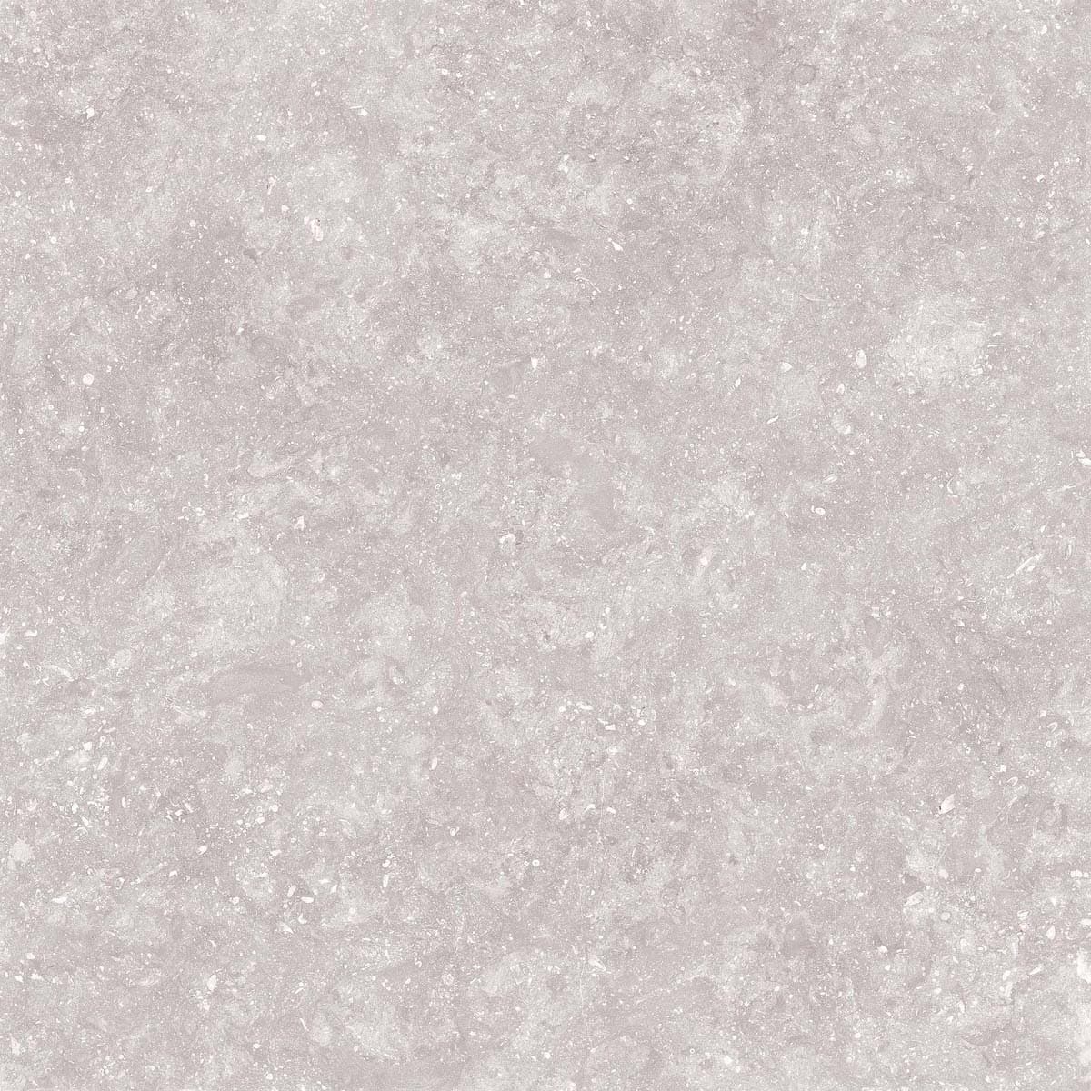 Close-up of Light Stone Matte 24x24x2cm Rectified Porcelain Paver from the Porcelain Pavers Collection. The porcelain tile features a subtle matte finish with a light gray hue and delicate stone-like texture, ideal for modern hardscape projects.