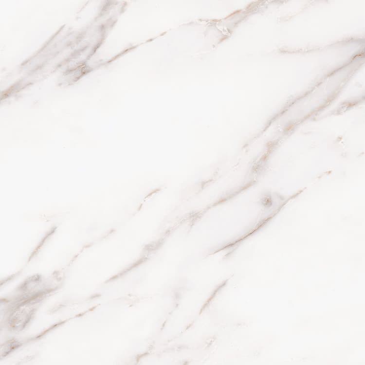 Close-up of Ludano Bone Matte 24x24x2cm Rectified Porcelain Paver showcasing subtle bone-white tones with delicate gray veining. The matte finish adds a natural stone look, ideal for modern hardscape projects, pool decks, and patios.