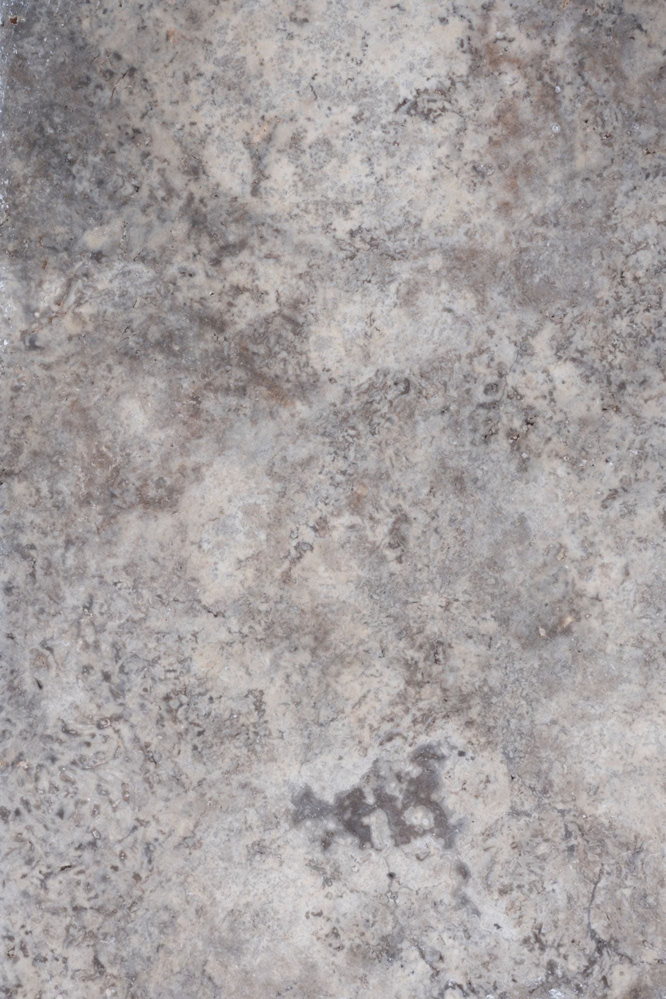 Close-up of Silver Travertine Tumbled 16x24 3cm Paver by STONELUX, showcasing a natural stone texture with a blend of soft grays, creams, and subtle veining. The tumbled finish highlights its rustic elegance, ideal for luxurious hardscape projects and ...