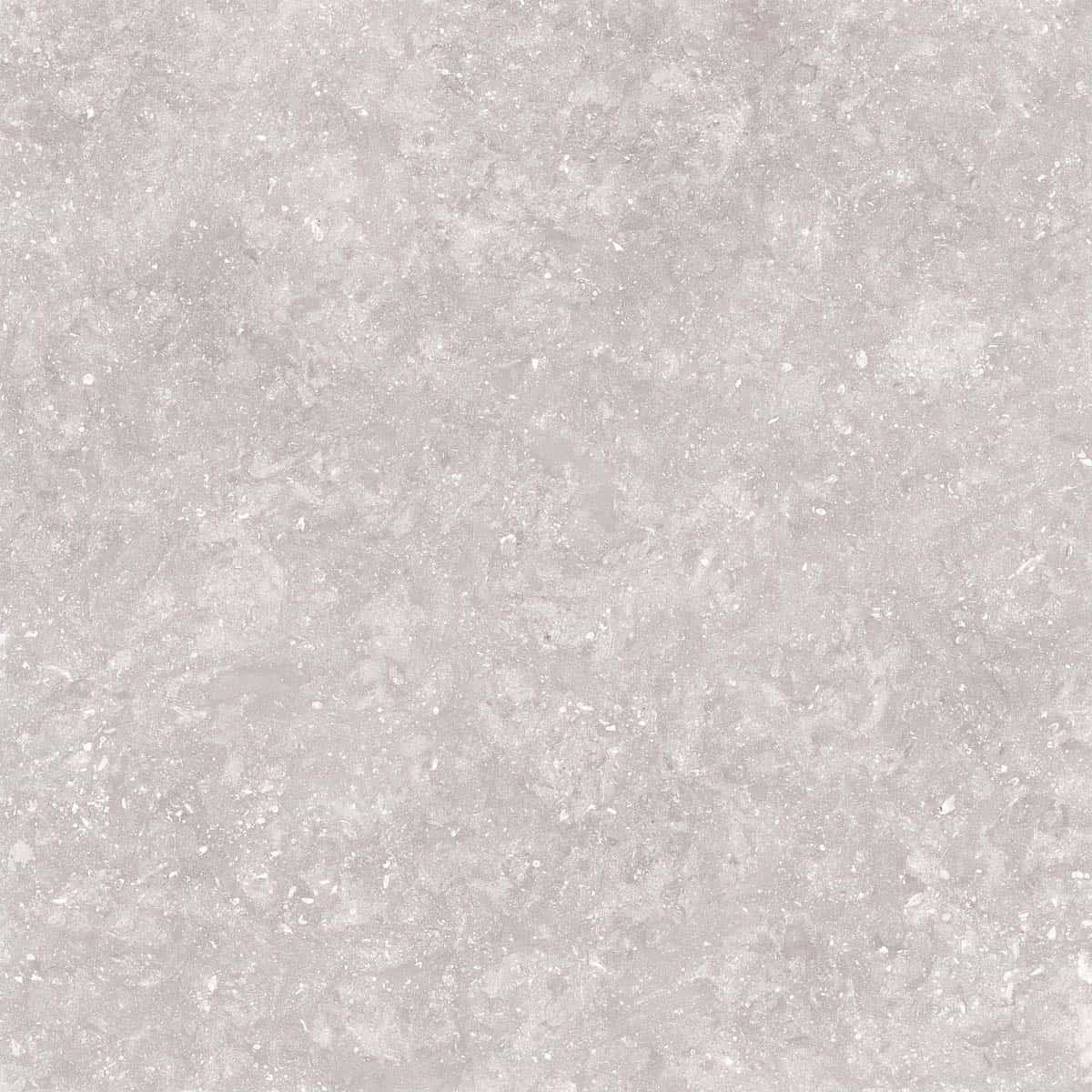 Close-up of Light Stone Matte 24x24x2cm Rectified Porcelain Paver from the Porcelain Pavers Collection. The porcelain tile features a subtle matte finish with a light gray hue and delicate stone-like texture, ideal for modern hardscape projects.